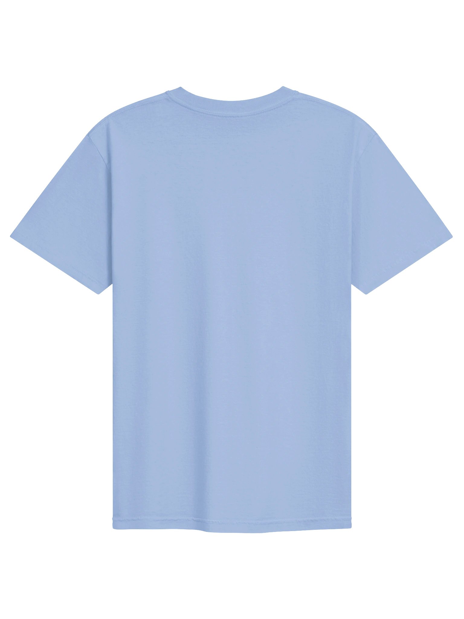 Flamingo Revolution T Shirt product image (18)