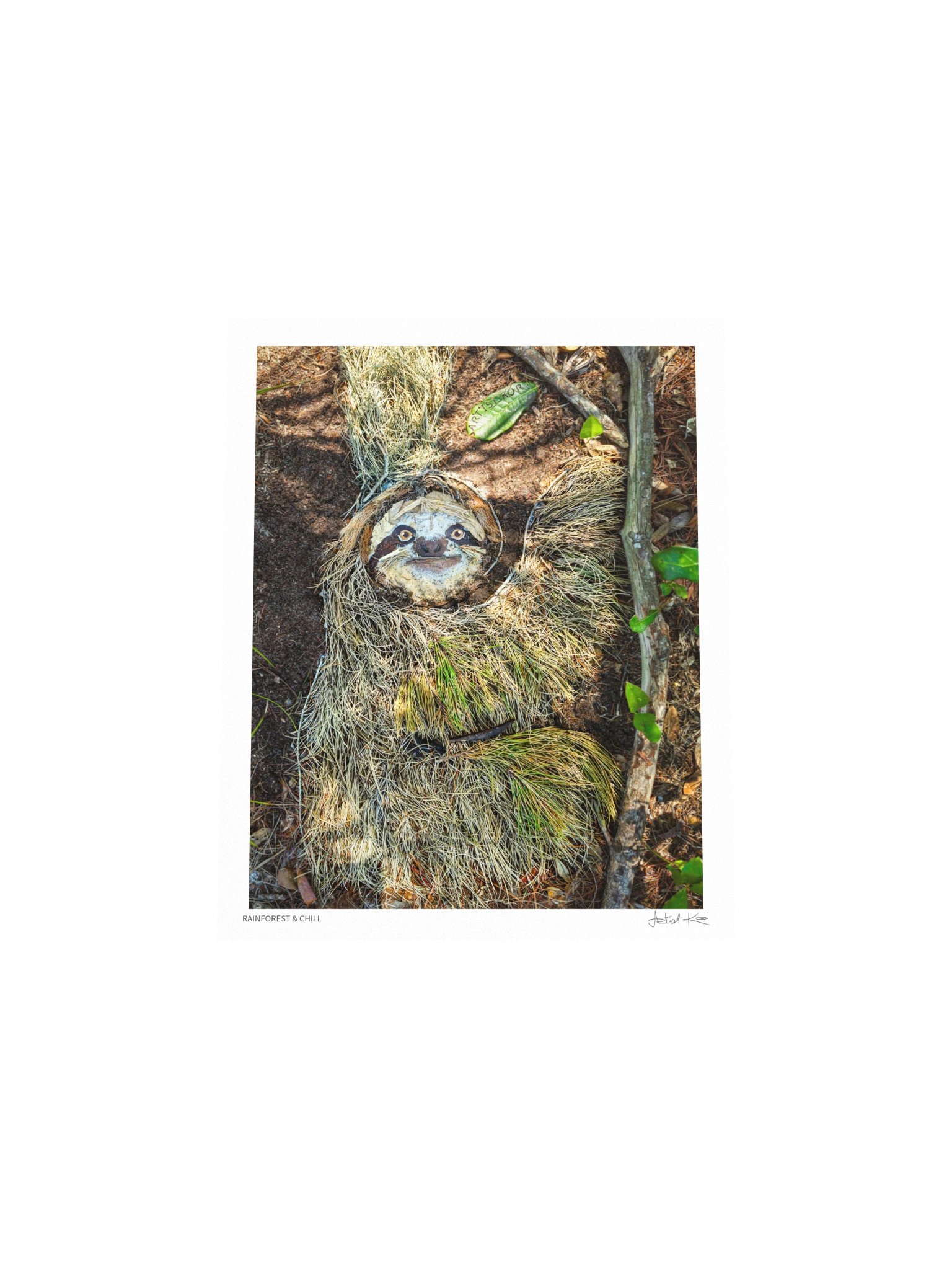 RAINFOREST & CHILL | Fine Art Print product image (6)