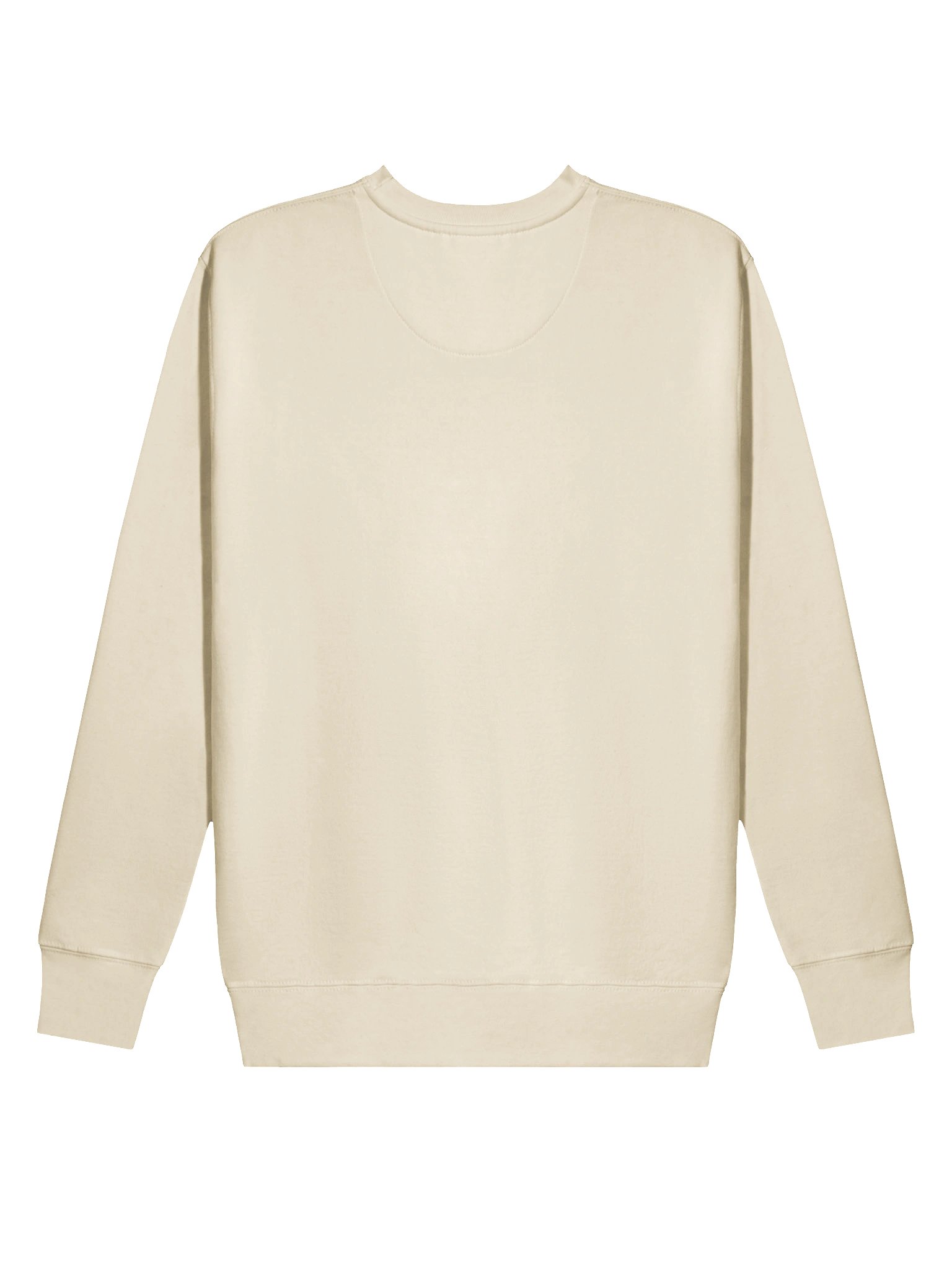 PIXEL OWIE - Sweatshirt product image (47)
