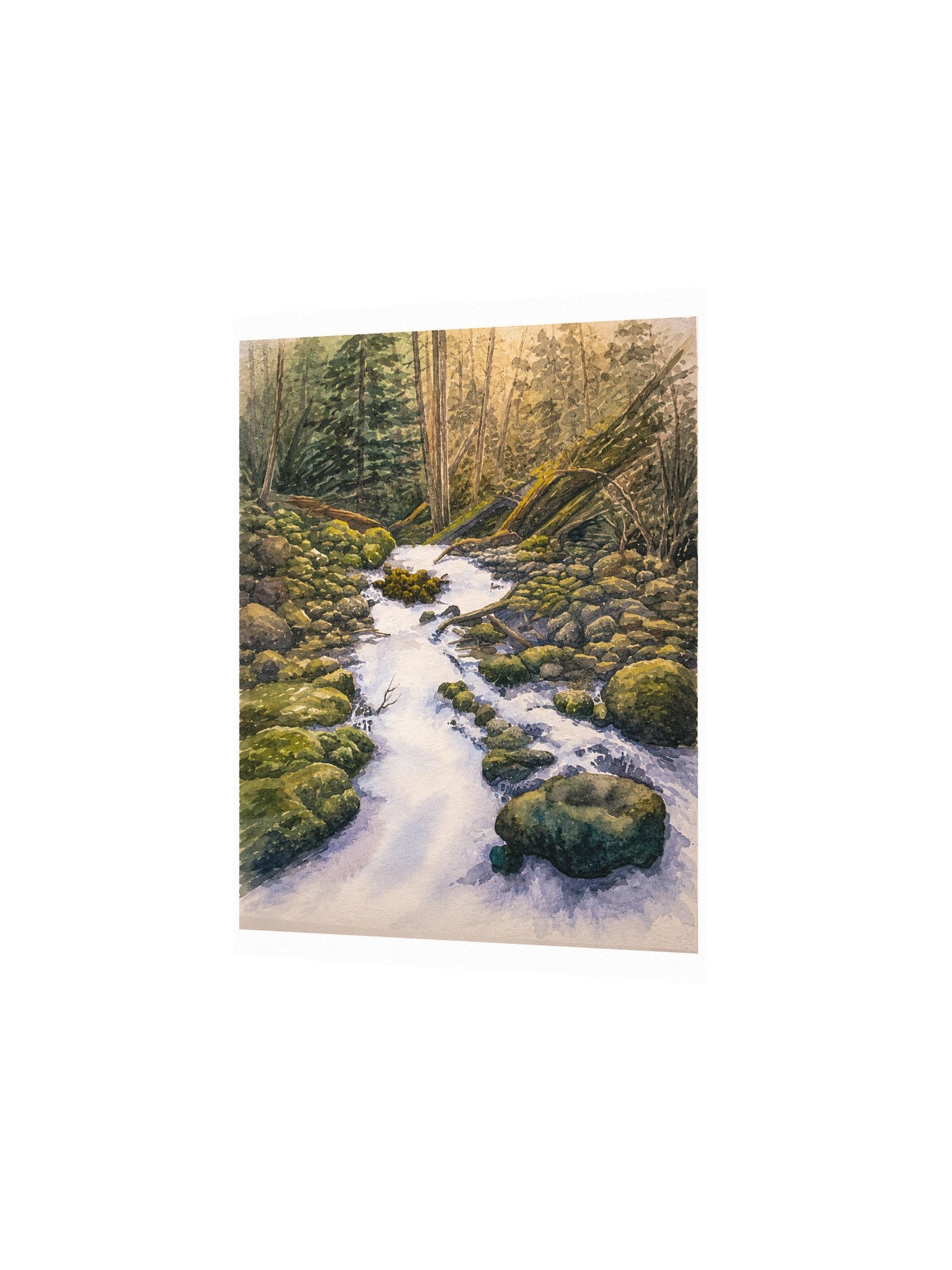 Forest Creek product image (2)