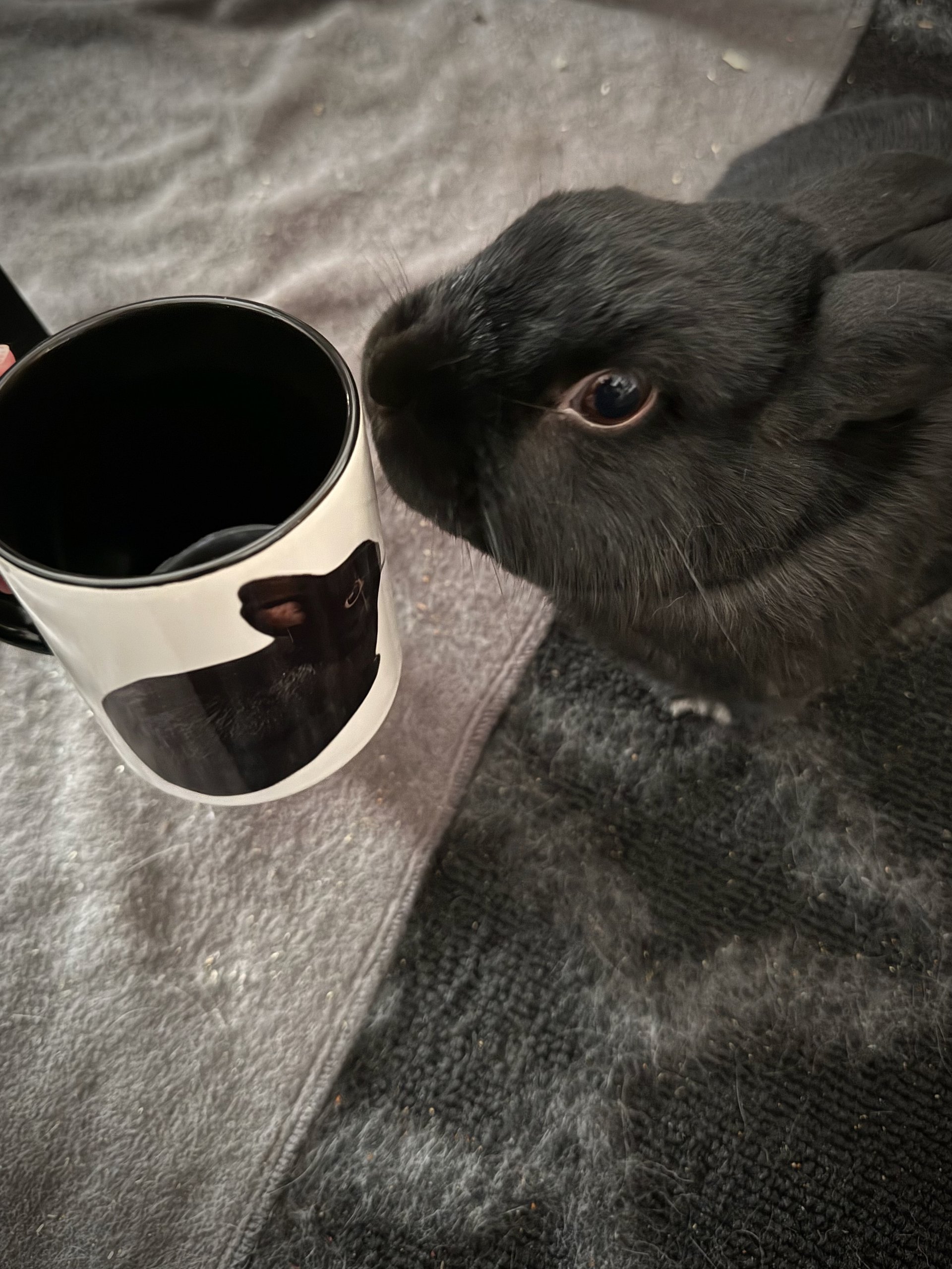 Pepper Dandelion Mug product image (6)