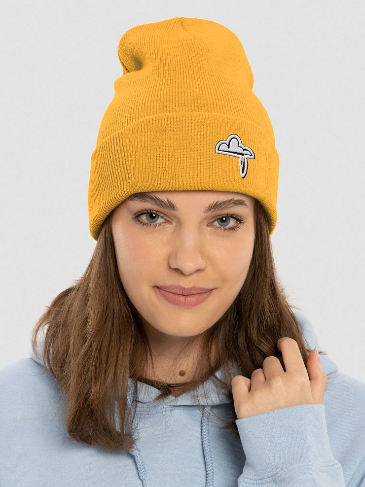 Raincloud Beanie product image (1)