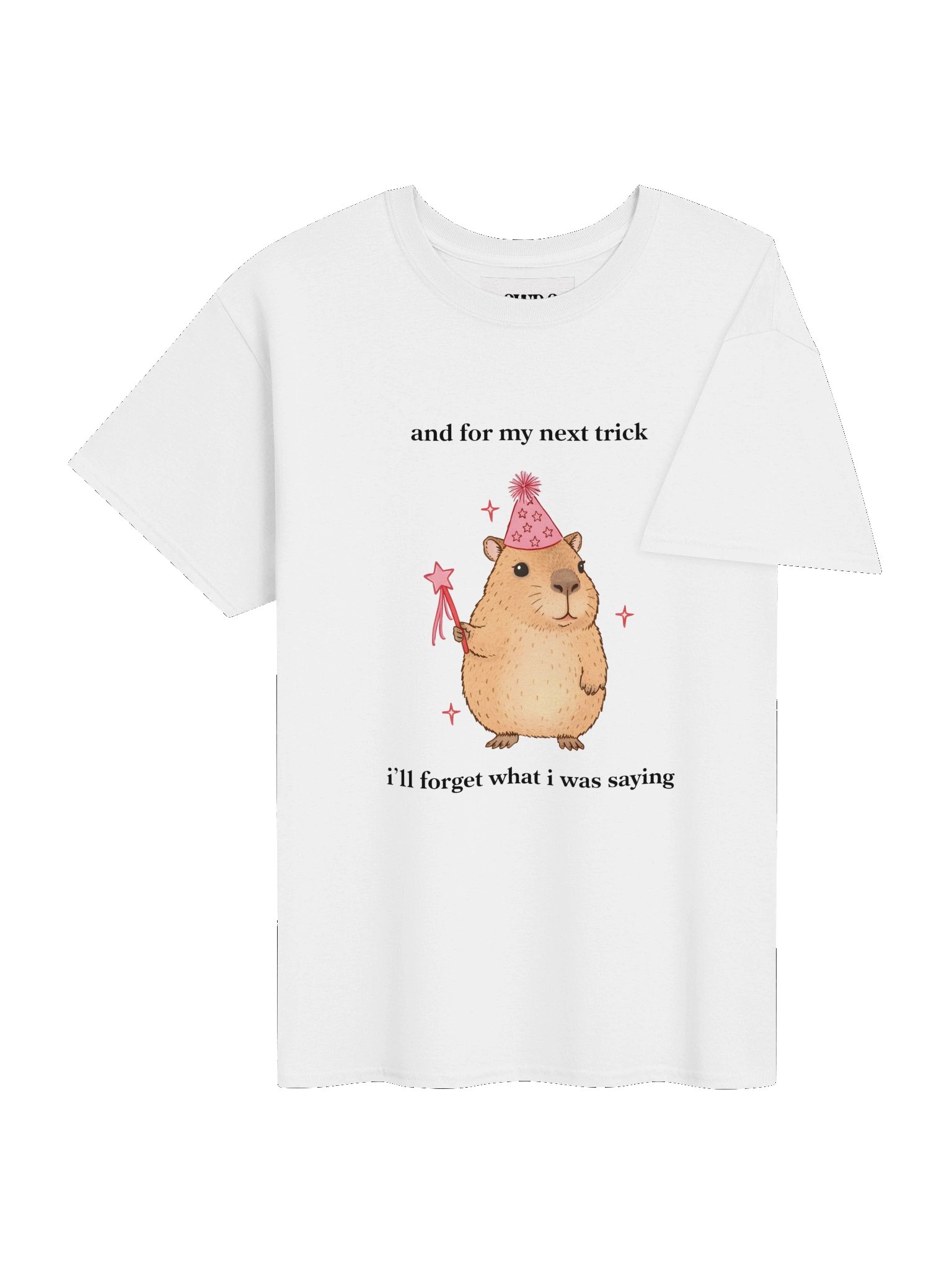 Magic Cabybara product image (4)