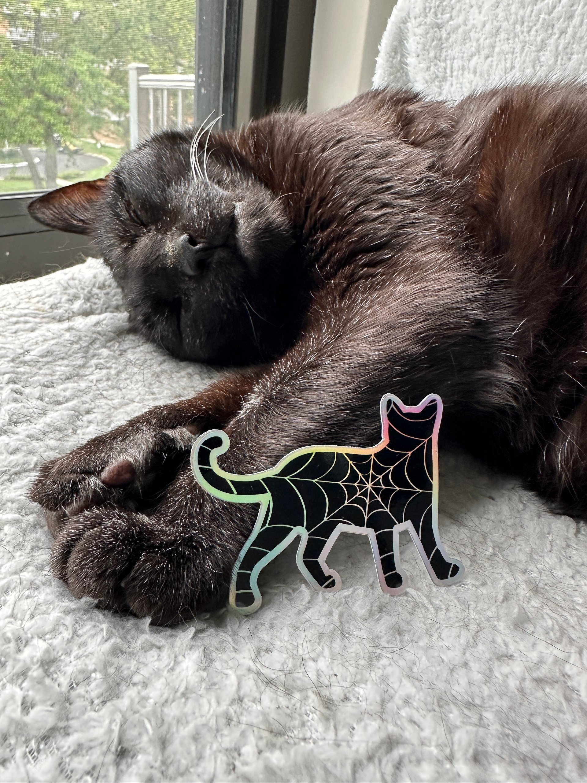 Spiderweb cat holographic sticker product image (2)