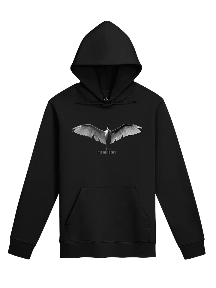 You Should Know Hoodie product image (1)