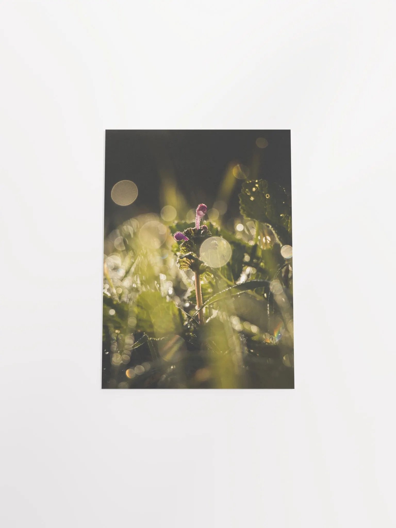 Green Heaven product image (15)