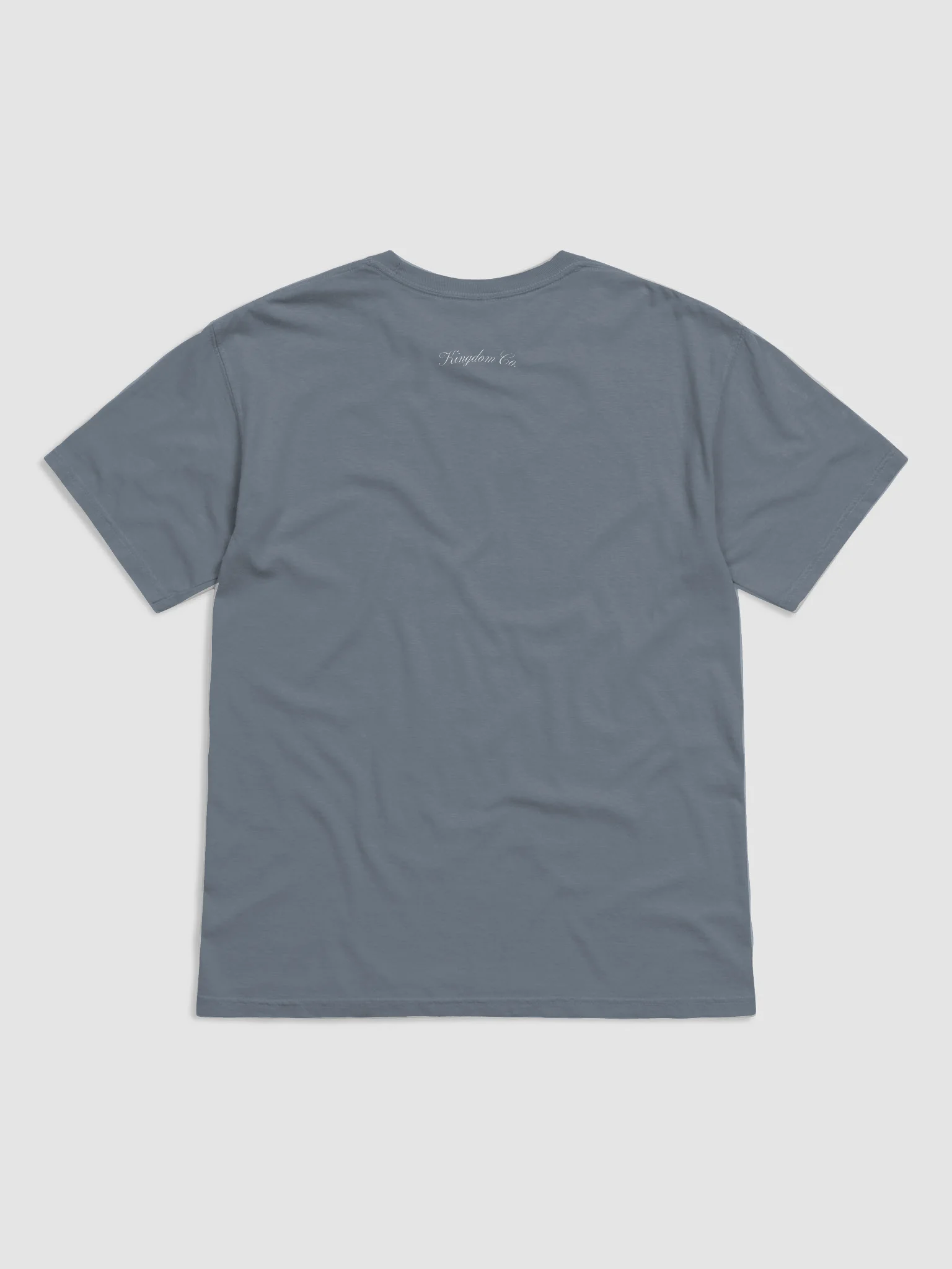 Boldness is Your Birthright Coastal Tee product image (2)