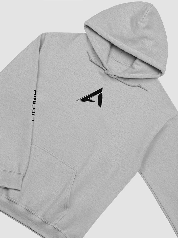 Amp Classics Hoodie (Gray) product image (2)