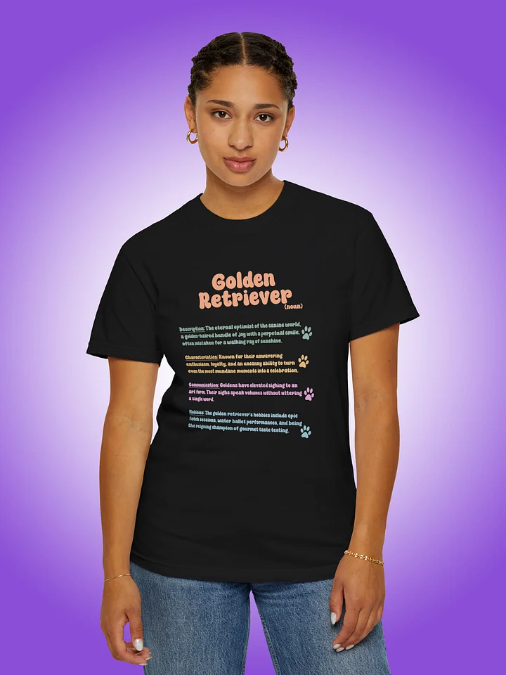 Definition of a Golden Retriever product image (1)