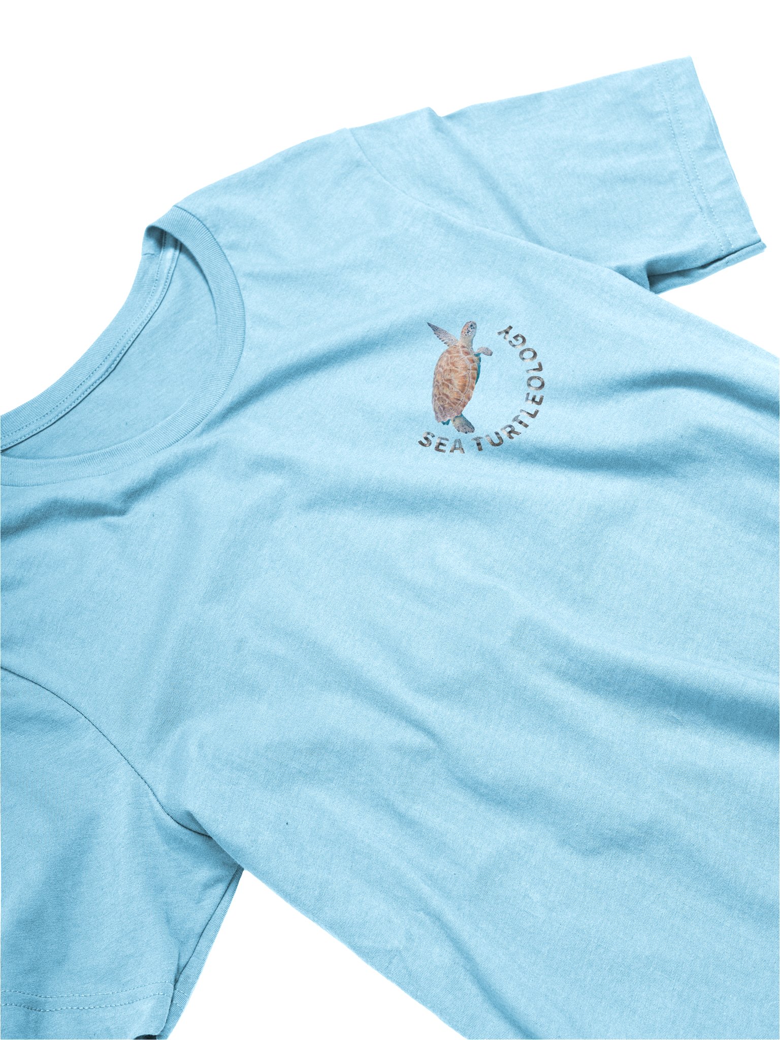 sea Turtleology product image (17)