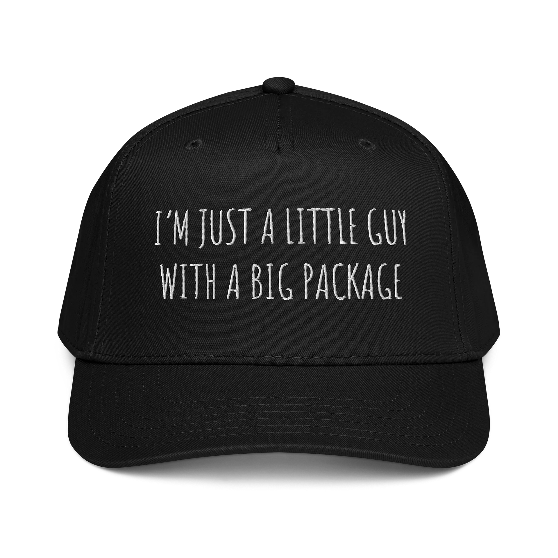 Little Guy product image (1)