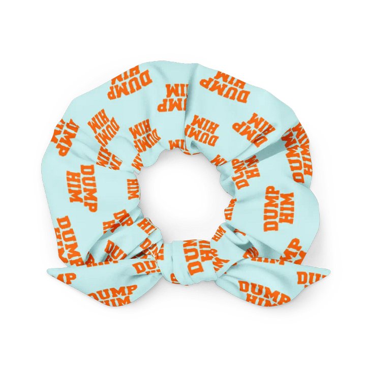 Dump Him - Scrunchie product image (2)