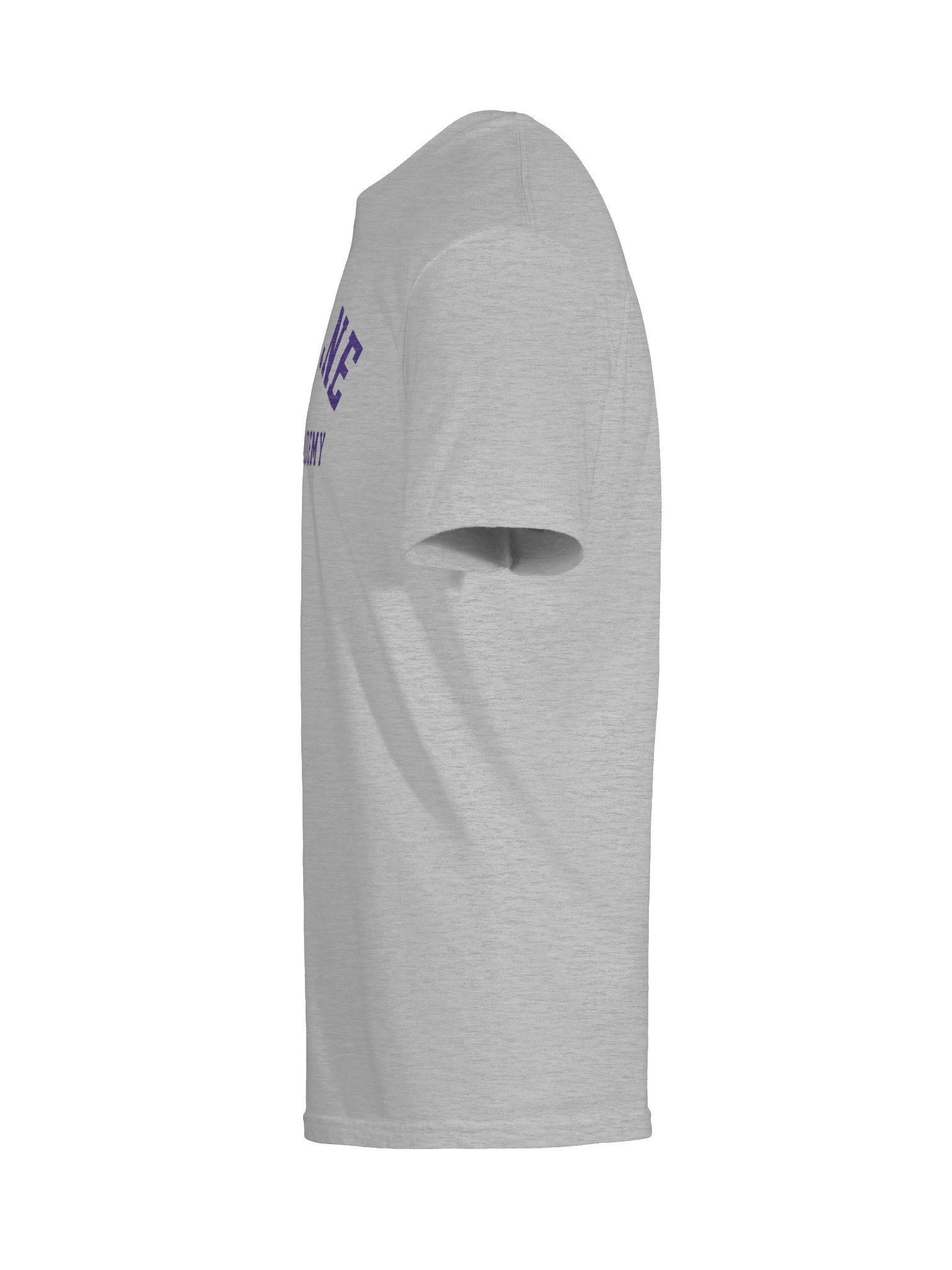 ACA T-Shirt - Gray product image (9)