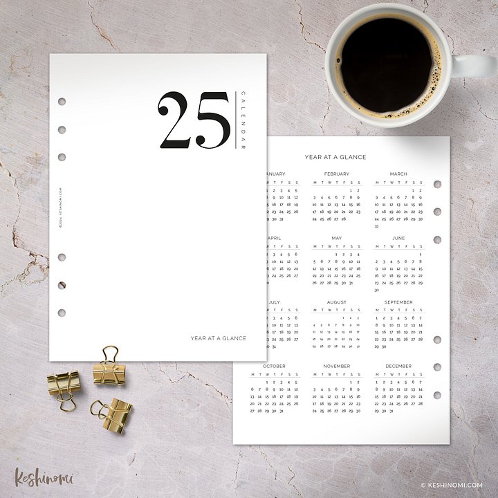 2025 Calendar, Year at a Glance - A5 Printable Planner Insert product image (1)