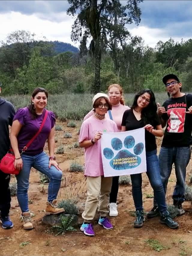 PAQUETE 2- SANTUARIO DE LAS LUCIÉRNAGAS + EX HACIENDA DE CHAUTLA + RANCHO SAN MARTÍN 🌿🐰 product image (6)