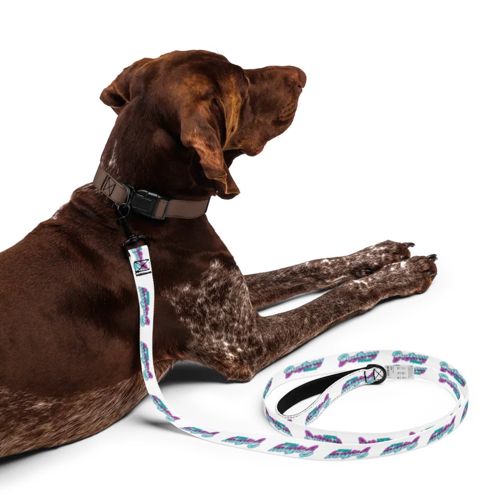 ASMR Destiny Pet Leash product image (3)