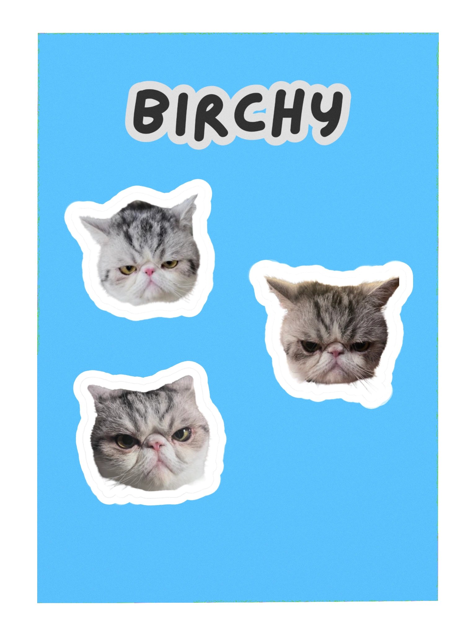Real boy Birchy sticker sheet product image (3)