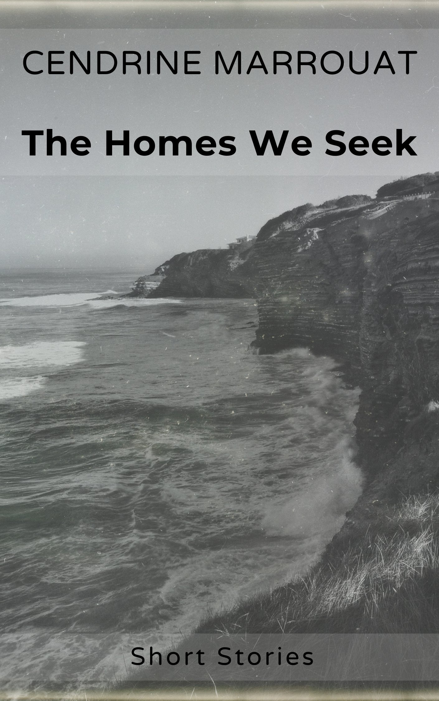 The Homes We Seek product image (1)