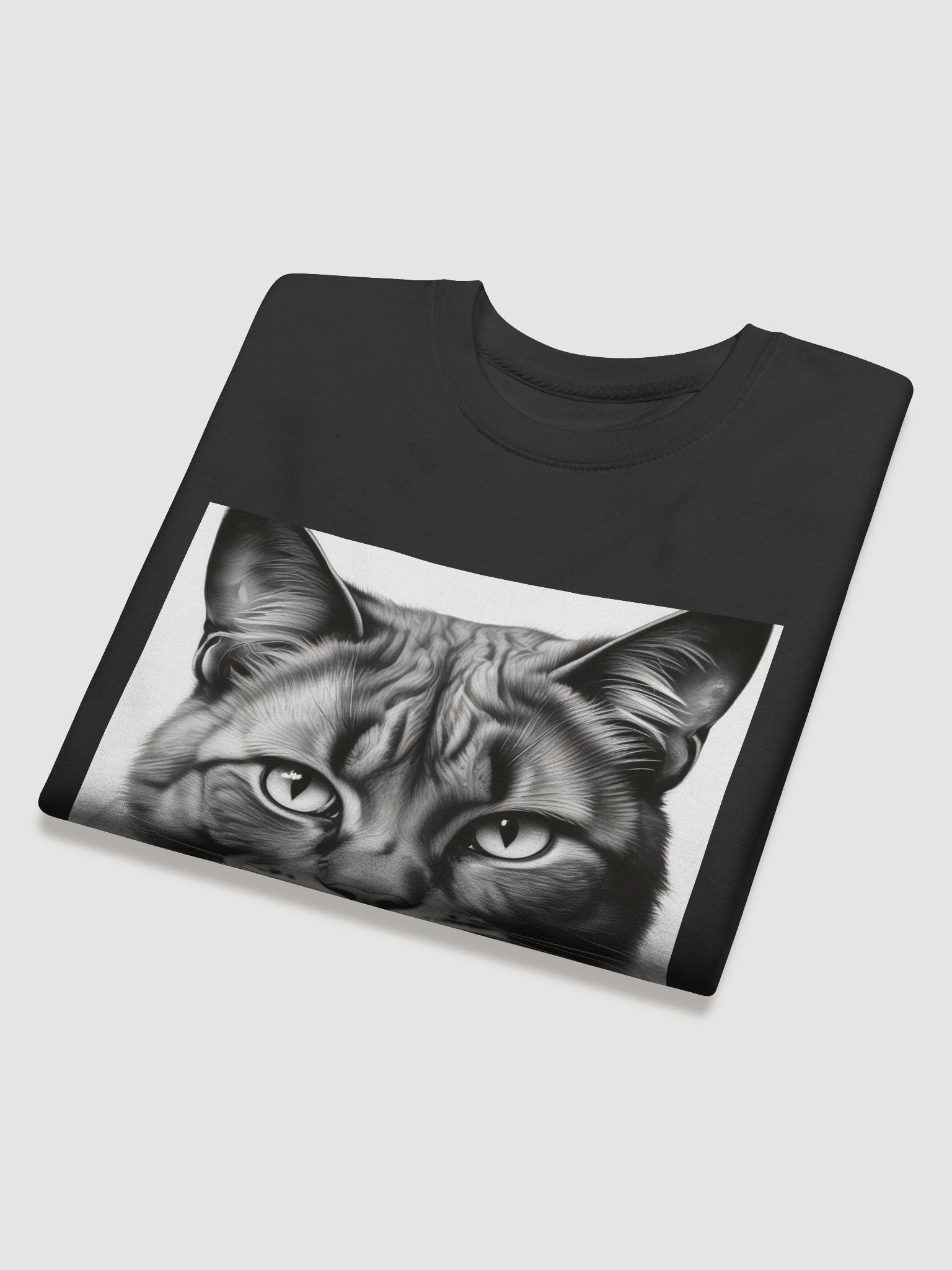 Cat product image (34)