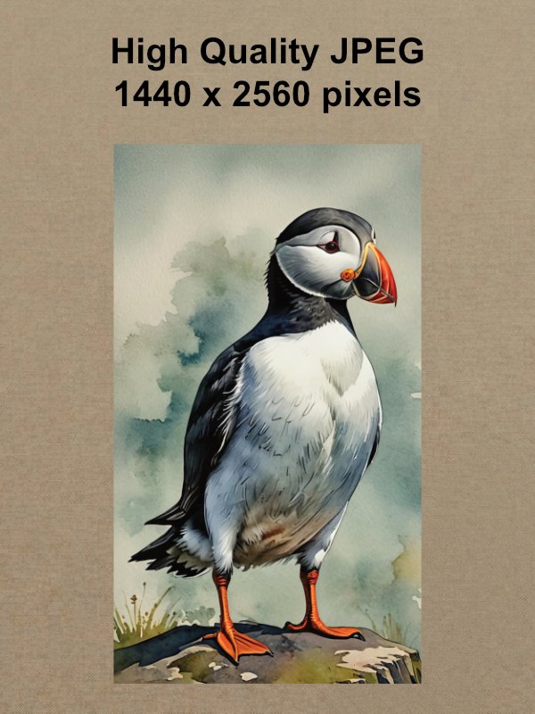 Atlantic Puffin Phone Wallpaper product image (2)
