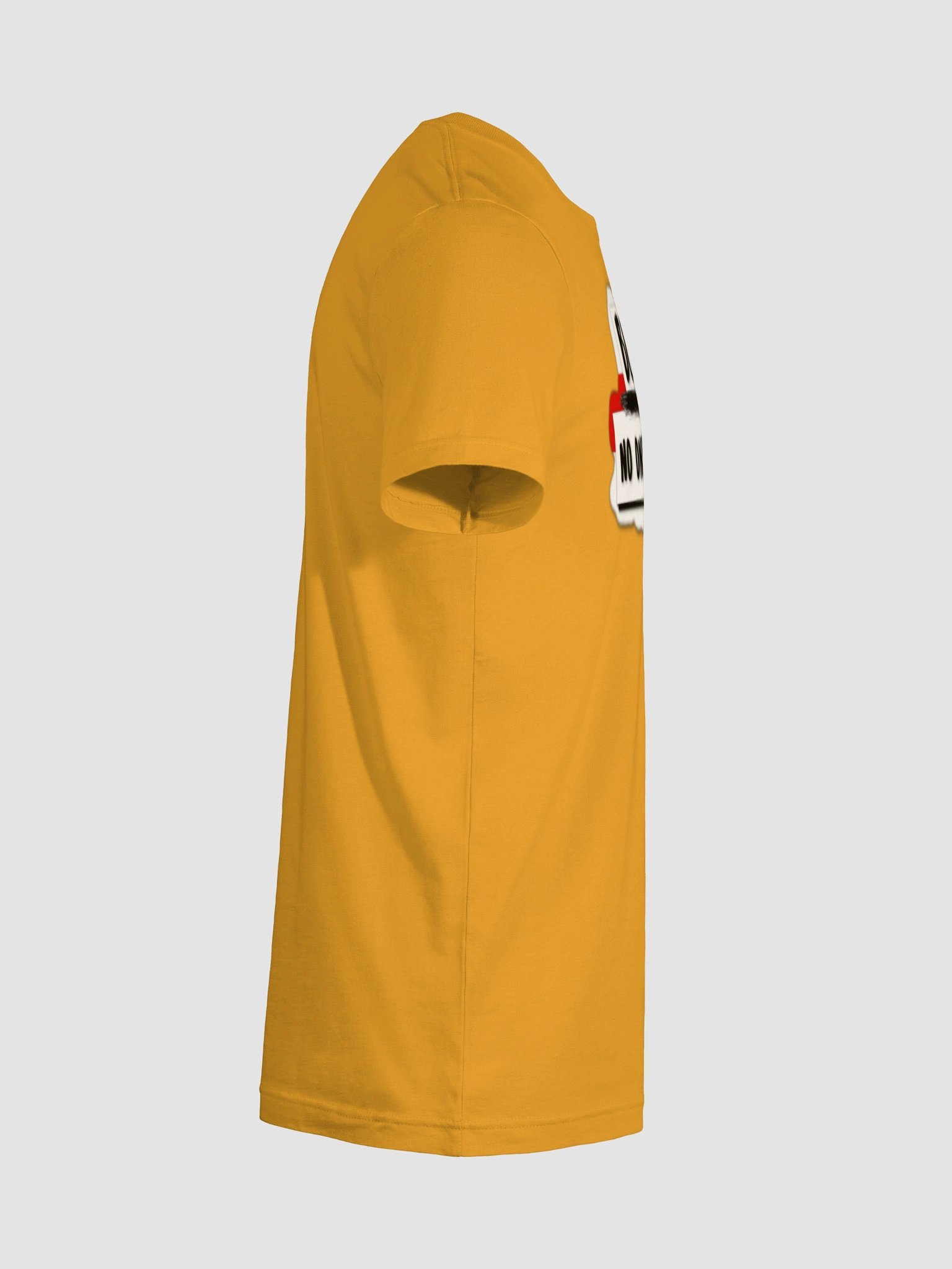 BLANKS Northern Ireland Logo Tee product image (122)