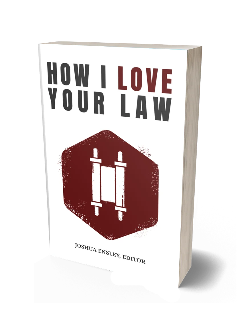 How I Love Your Law: Meditations on the Weekly Torah Portions product image (1)