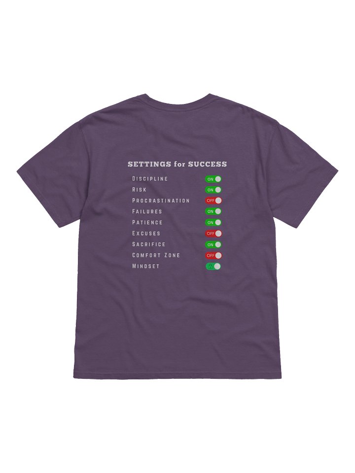 Settings for Success - Heavyweight T-Shirt product image (1)