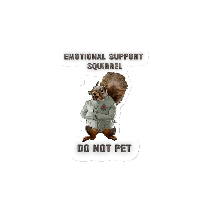 Emotional Support Squirrel - Magnet product image (2)