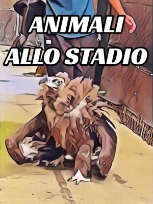 Animali allo stadio 💛❤️ @AS Roma  #doppiaggio #animali #roma #asroma #RomaAtalanta 