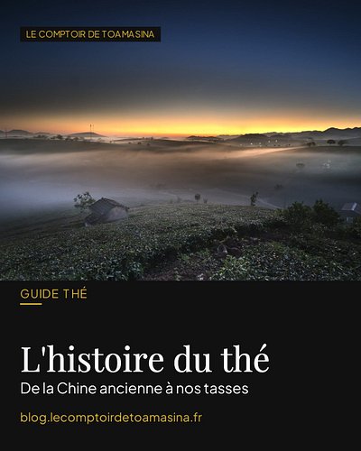 D'où vient vraiment le thé ? 🍵

Bien avant nos théières, le thé serait né en Chine il y a plus de 2 000 ans, sous la dynastie...