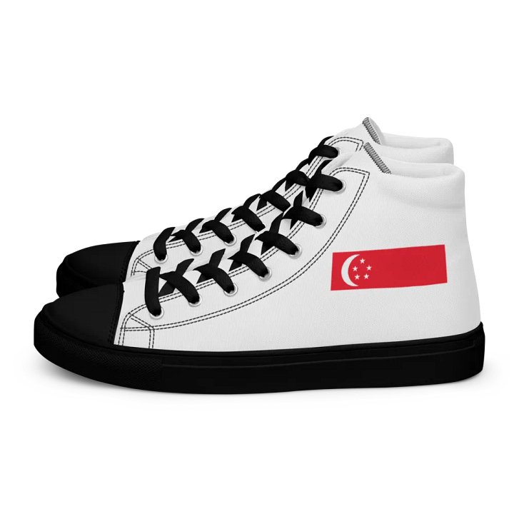 singapore product image (1)