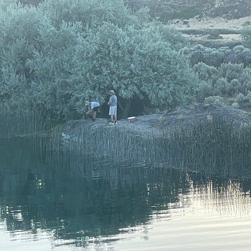 Fishing for stergen. 
#idaho