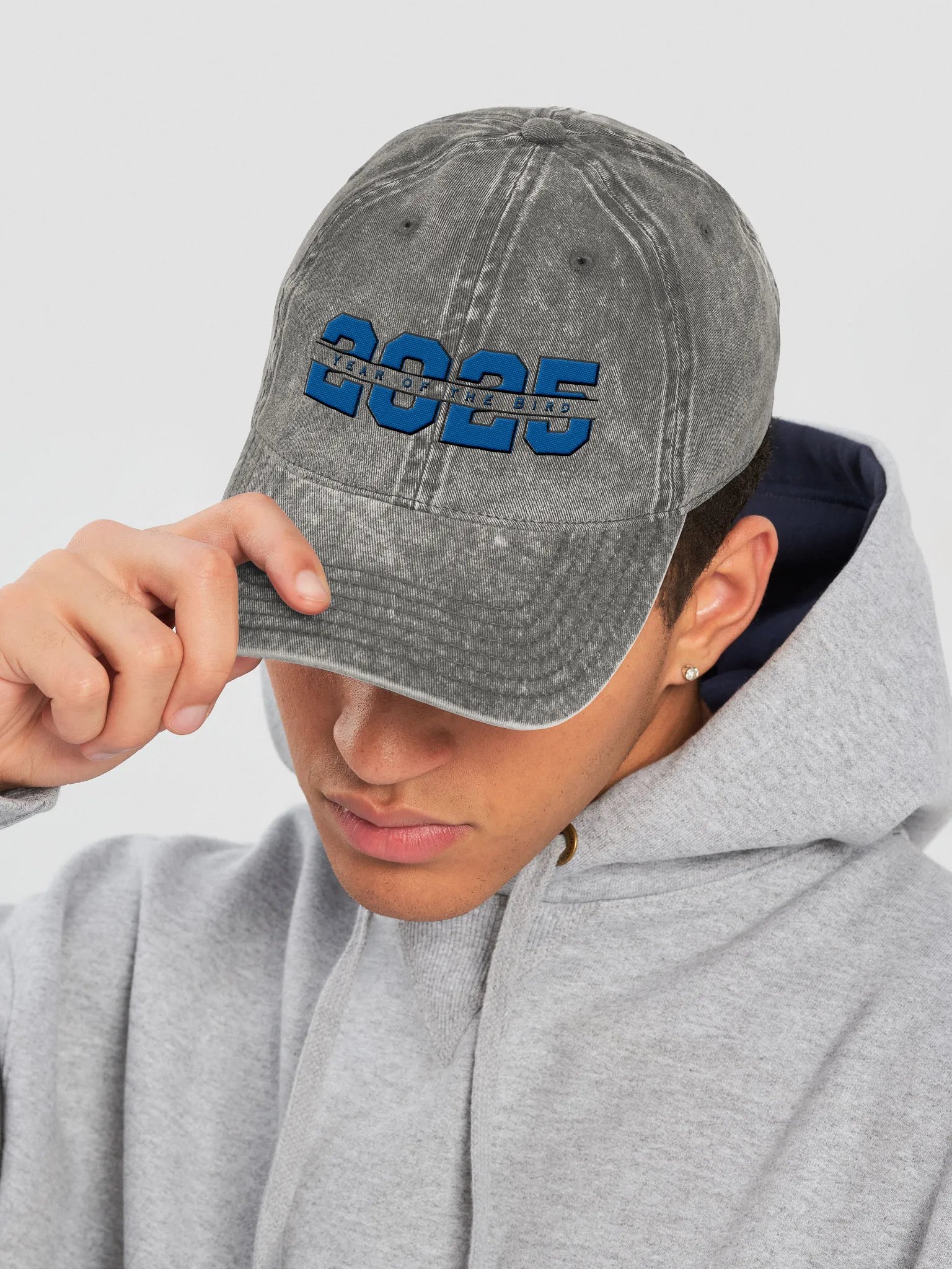 Blue "Year of the Bird" Vintage Cap product image (1)