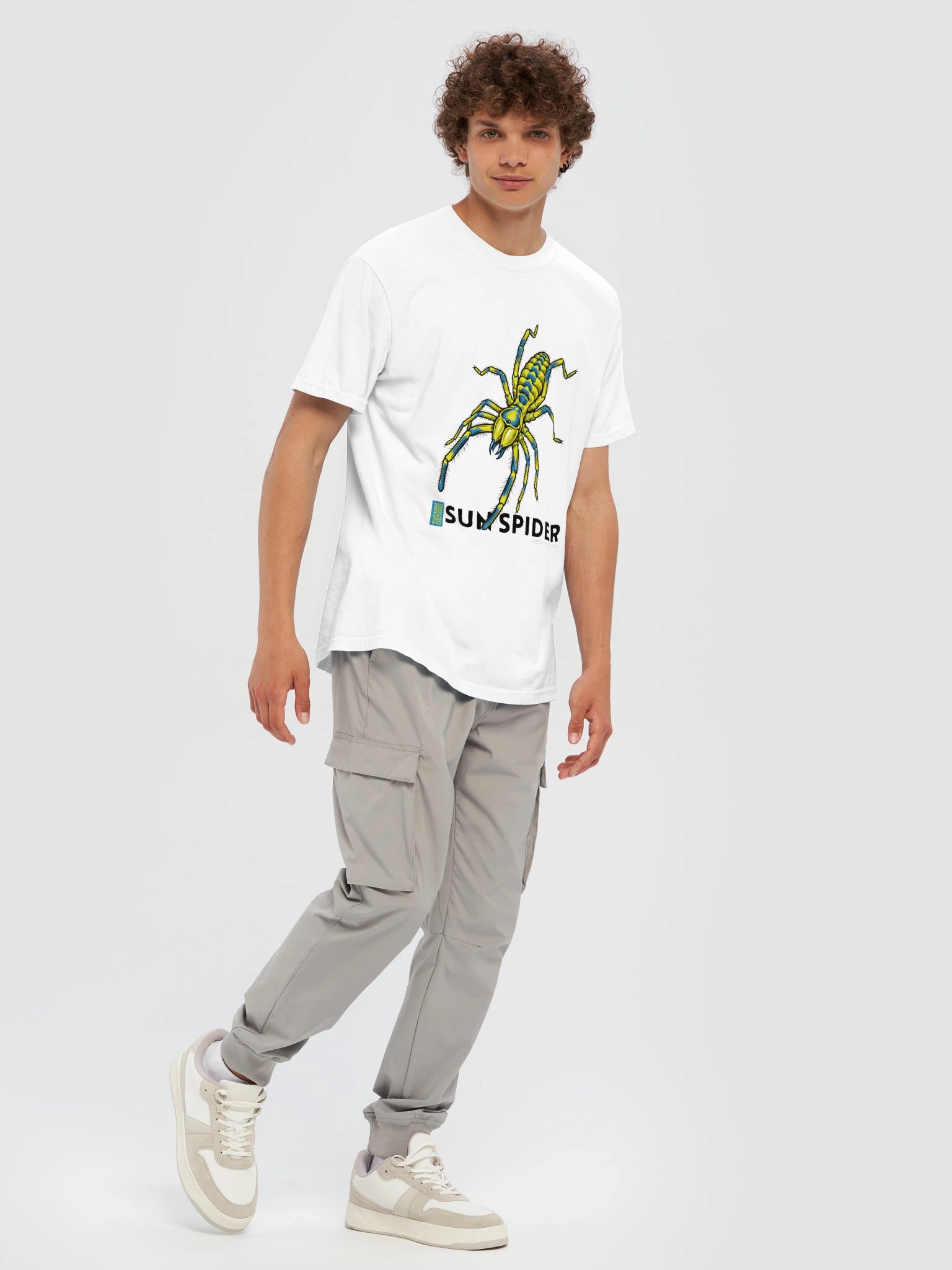 SUN SPIDER product image (61)
