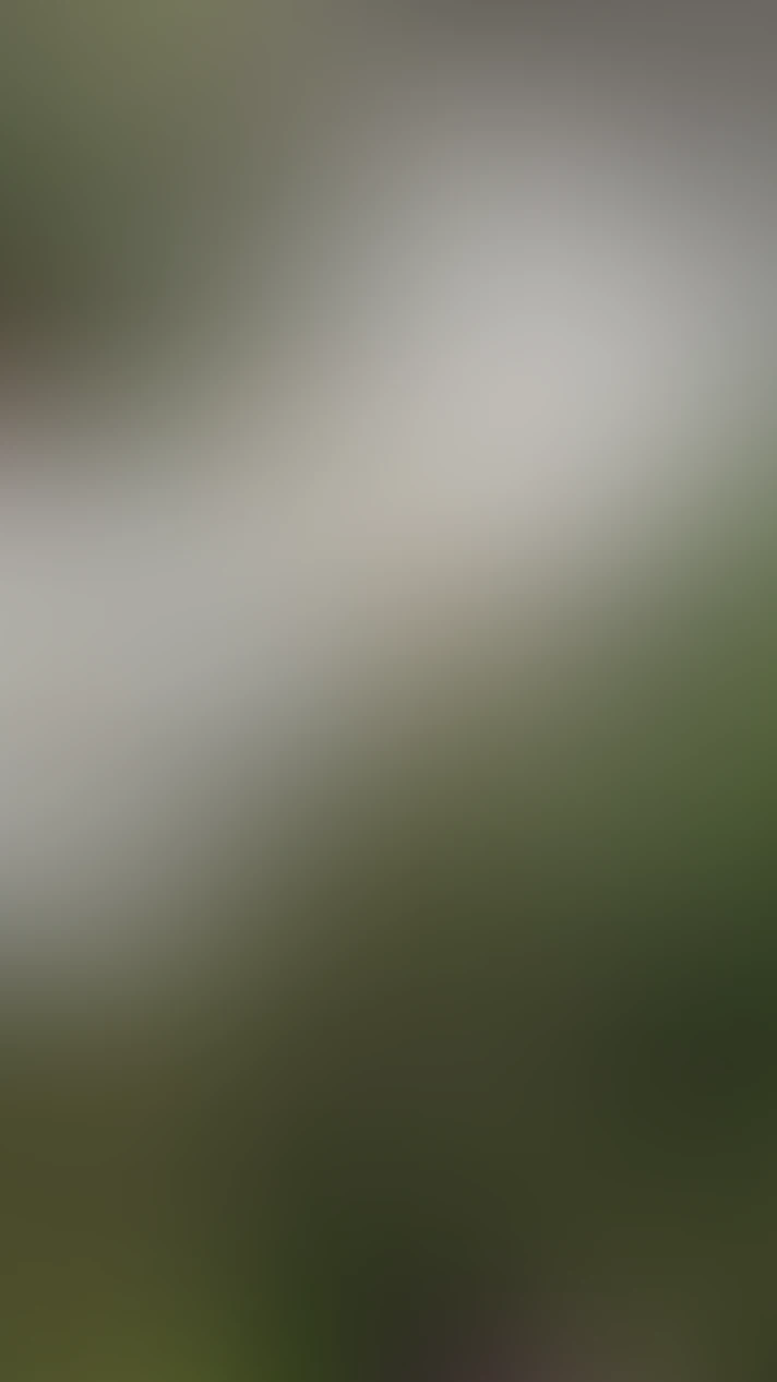 Video thumbnail background