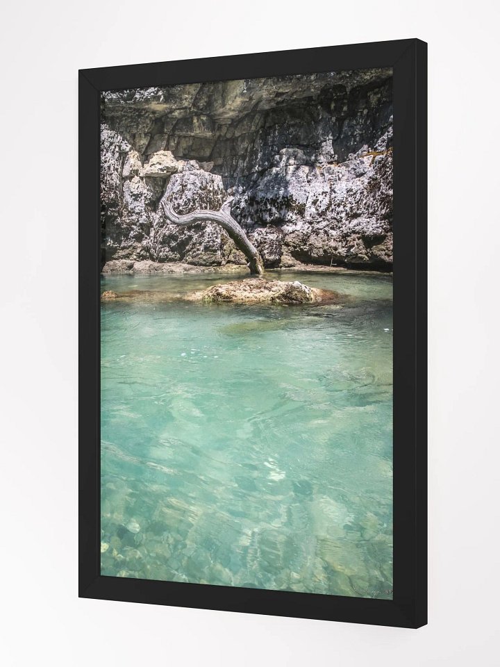 Print Fine Art Photography - Wild Roots of Verdon - France product image (4)