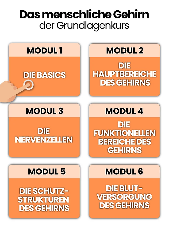 Das Gehirn | der Grundlagenkurs product image (2)