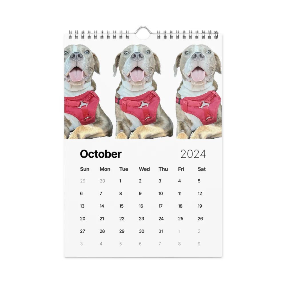 Puppy IMHA 2024 Calendar product image (3)