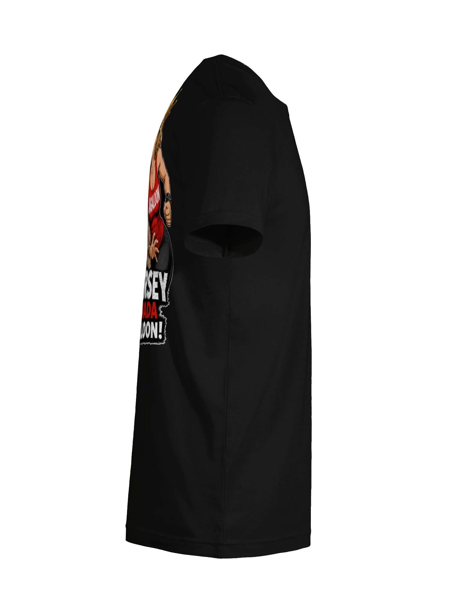 This Is New Jersey, Not Canada — Premium T-Shirt product image (46)