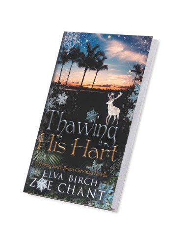 Shifting Sands Resort Hardcover Book Box product image (4)