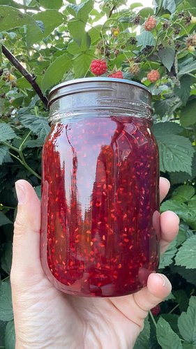 This #harvest to table includes raspberries from my #backyardgarden I can’t believe how good this jam is!! The homegrown rasp...