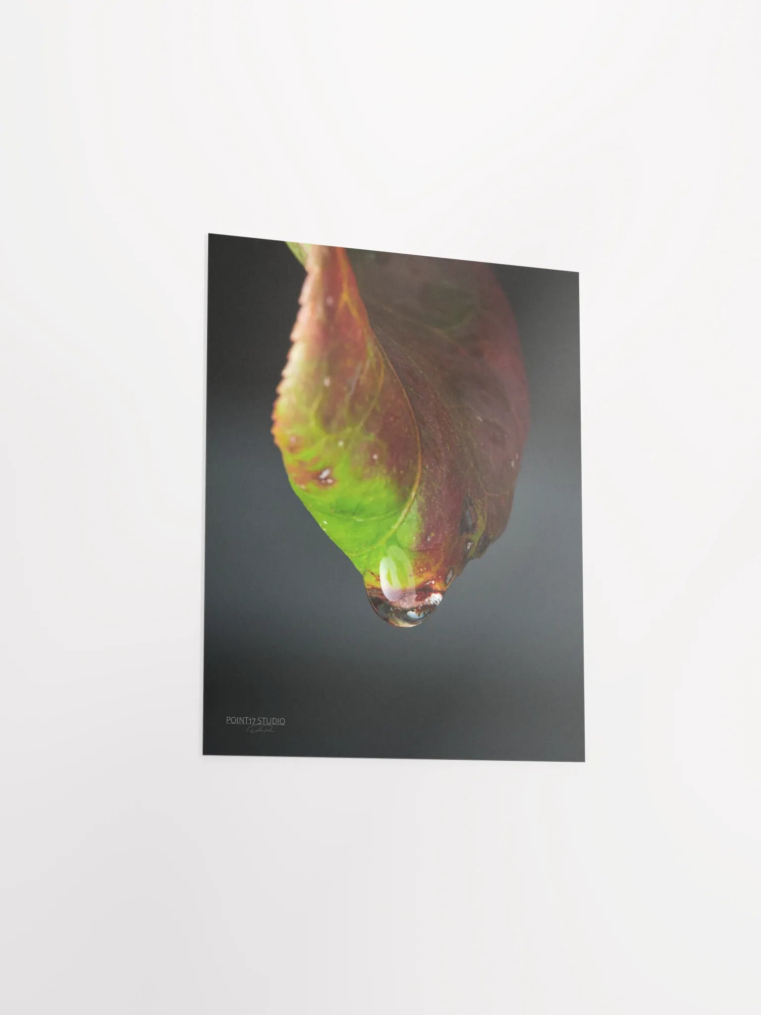 Crystal Drop - Poster product image (5)