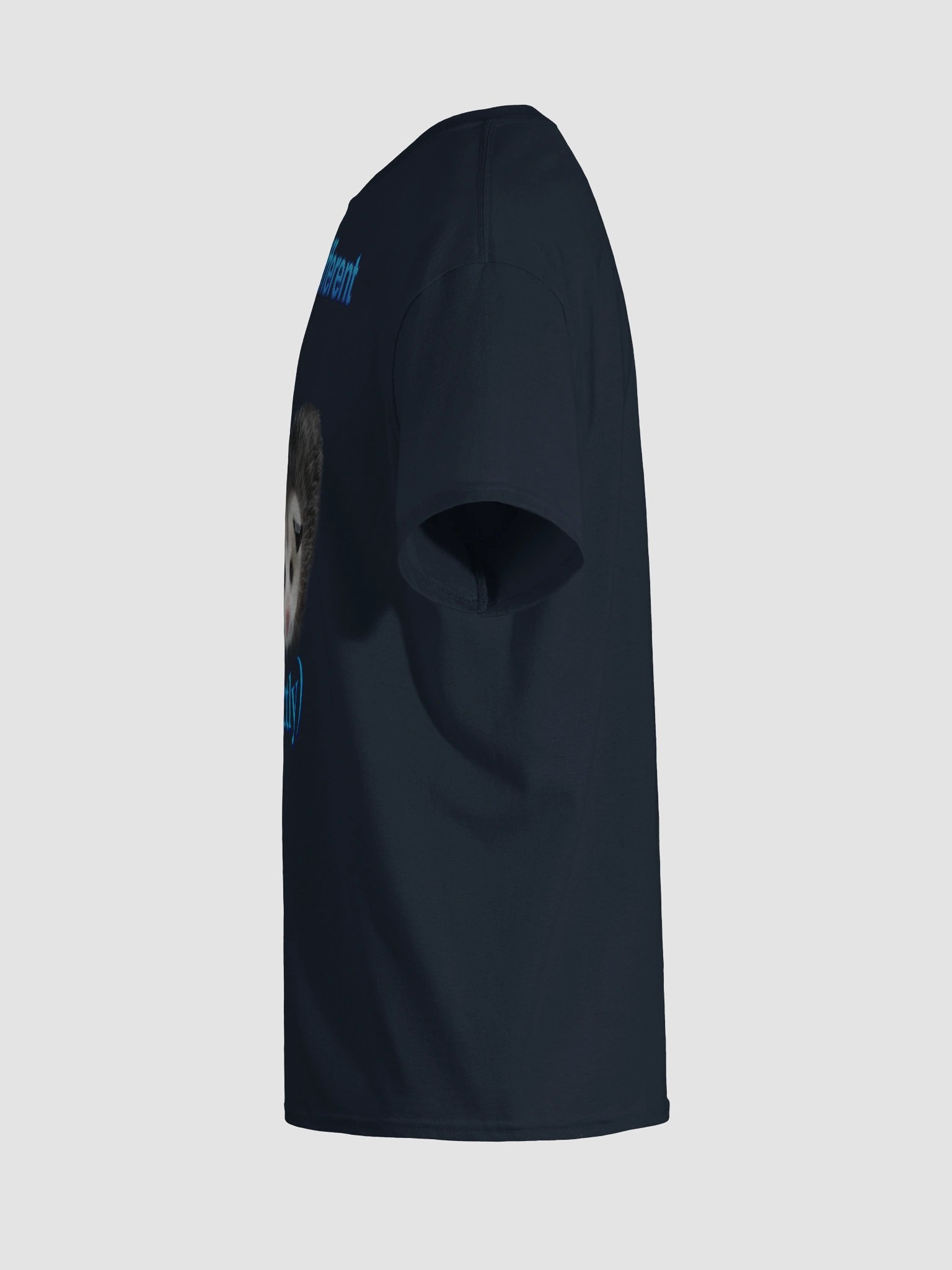 Built Different Possum T-shirt product image (119)
