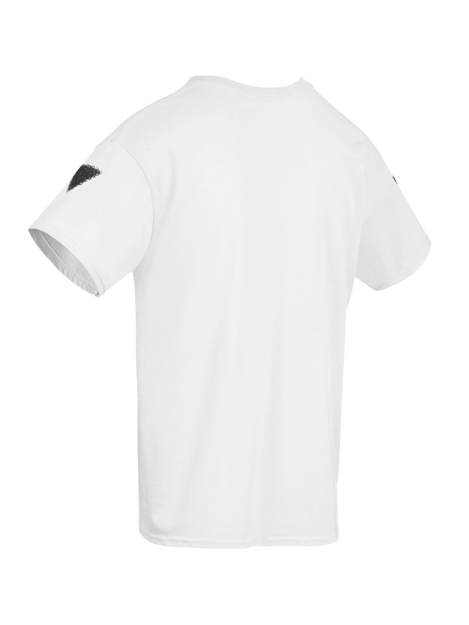 Hinta PRINT - This shirt is not for everyone. product image (10)