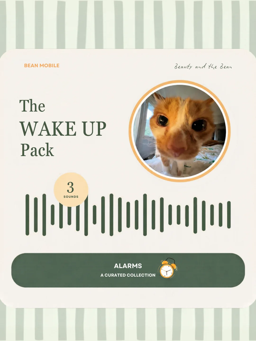 The Wake Up Pack product image (1)