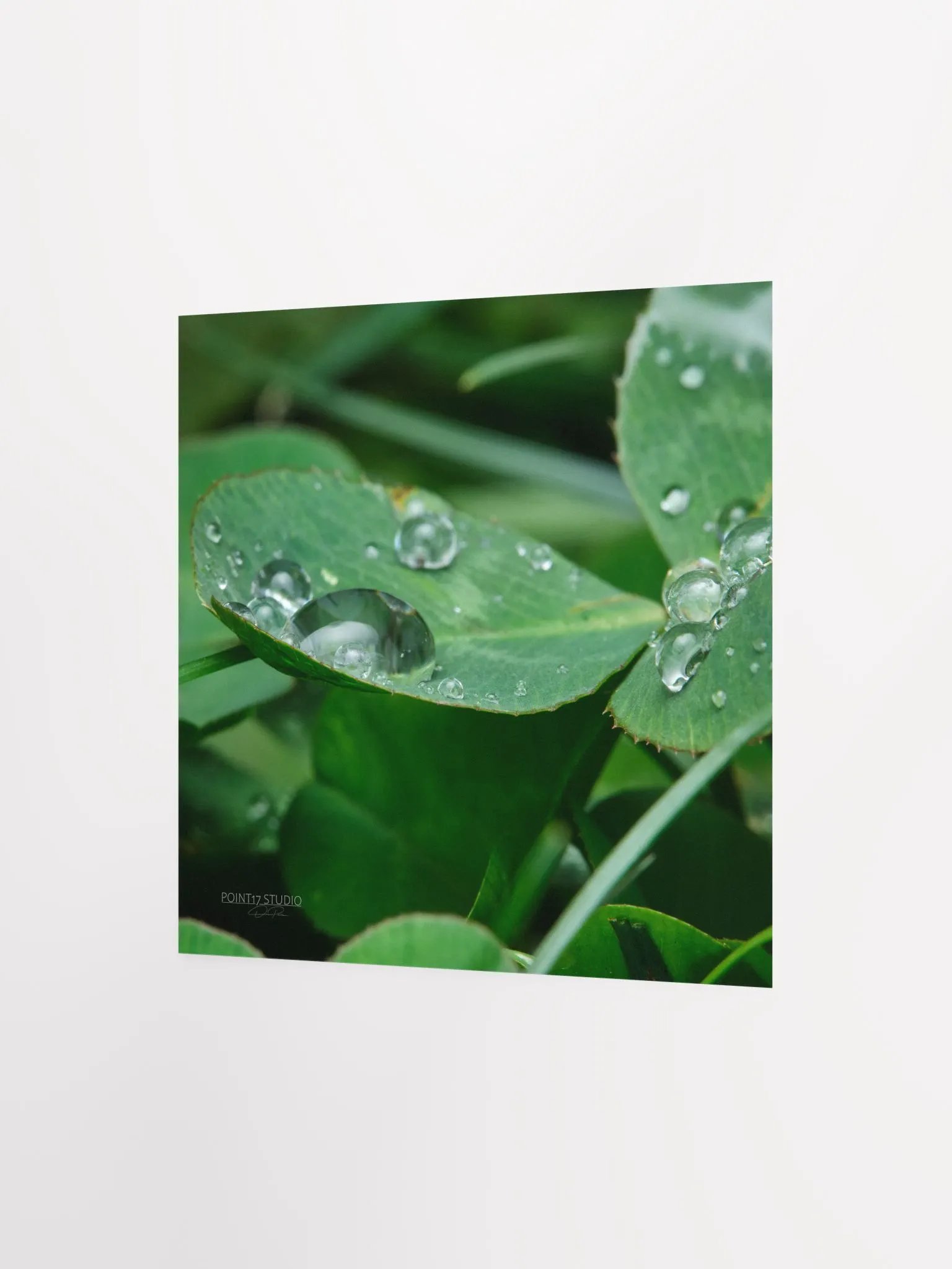 Dew Gems #8 - Print product image (5)