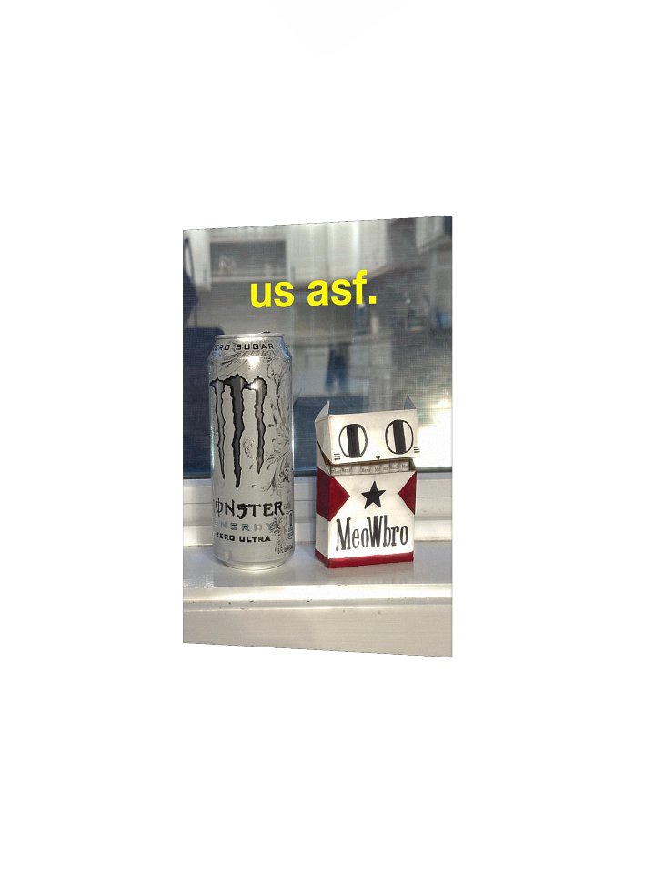 US ASF PRINT product image (13)