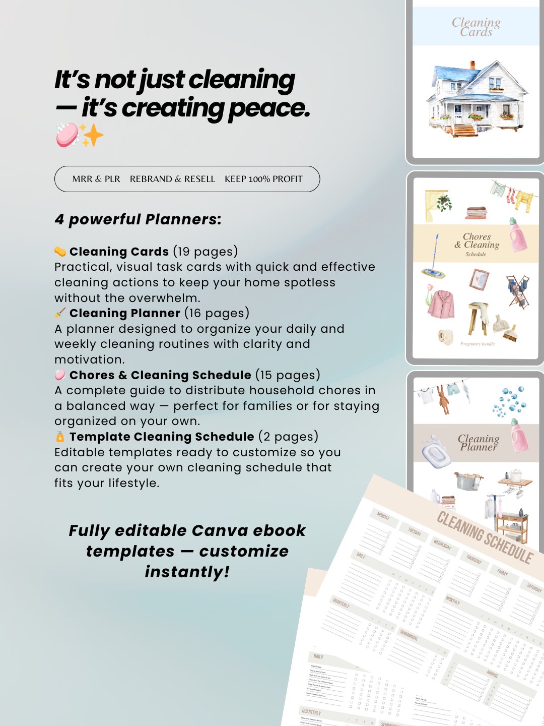 Cleaning Schedule & Family Chore Chart Digital Planner | MRR PLR Bundle product image (5)
