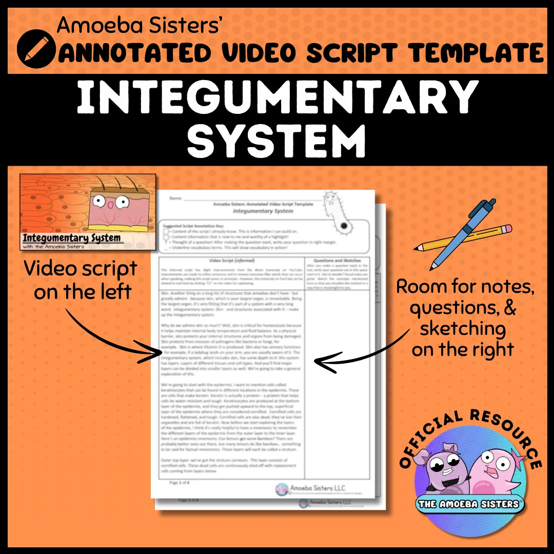 Amoeba Sisters Integumentary System Annotated Video Script PDF product image (1)