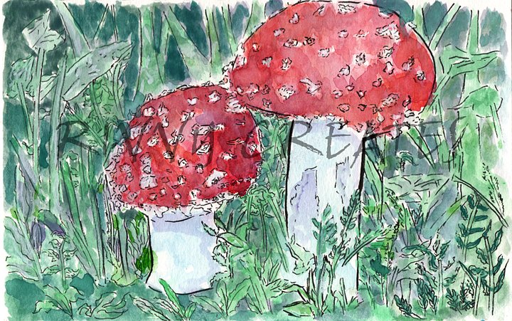 Mushroom Species Study Series Painting 1 Digital Download product image (1)